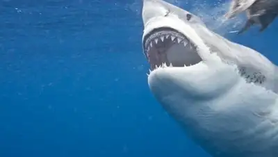 Zakon.kz, фото - Новости Zakon.kz от 15.09.2016 05:35