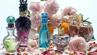 pixabay.com, фото - Новости Zakon.kz от 20.08.2021 17:32