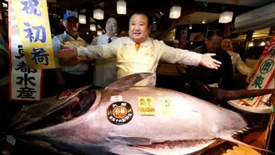 Zakon.kz, фото - Новости Zakon.kz от 05.01.2017 21:16