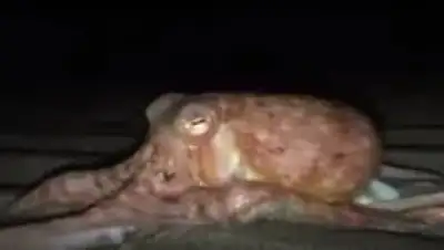 Zakon.kz, фото - Новости Zakon.kz от 30.10.2017 02:00