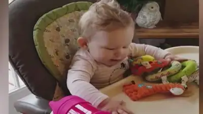 Zakon.kz, фото - Новости Zakon.kz от 10.06.2017 08:05