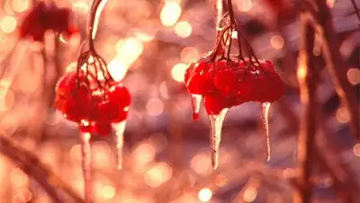 Zakon.kz, фото - Новости Zakon.kz от 05.02.2014 20:05