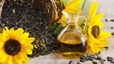 Фото: Просто Есть, фото - Новости Zakon.kz от 01.02.2018 12:19