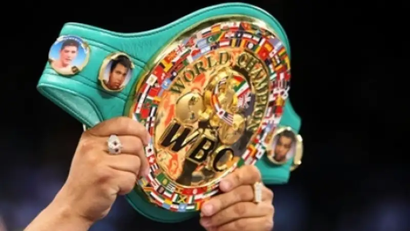 Стал известен текст постановления WBC по бою Головкин — Альварес 