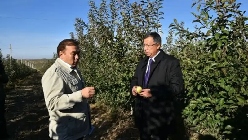 Аким ЮКО посетил Сайрамский район