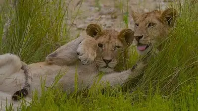 животные, фото - Новости Zakon.kz от 05.05.2023 22:31