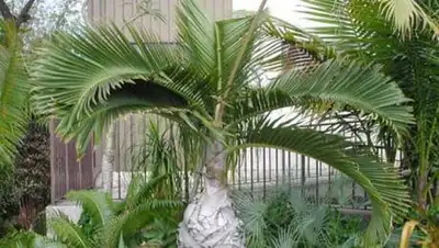 horosho-zhivem.ru, фото - Новости Zakon.kz от 03.10.2020 15:05