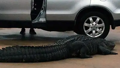 Zakon.kz, фото - Новости Zakon.kz от 10.11.2015 20:09