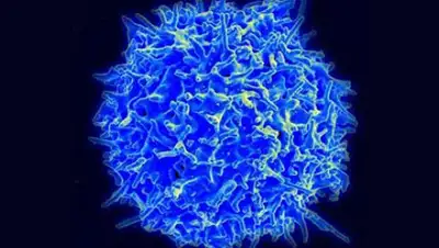 Zakon.kz, фото - Новости Zakon.kz от 19.11.2016 05:20