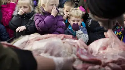 Zakon.kz, фото - Новости Zakon.kz от 17.01.2016 13:01