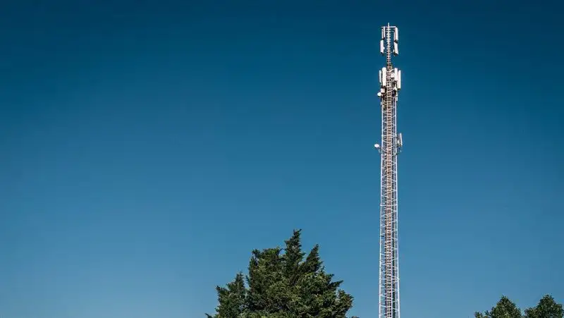 Депутат предложила исследовать влияние вышек 5G на здоровье человека