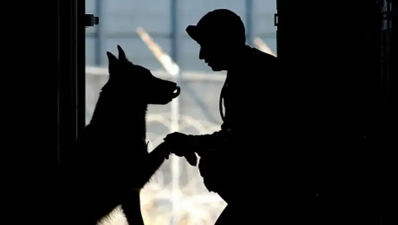 Наушники и кроссовки названы главными врагами казахстанских призывников