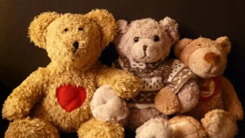 Задержан вор-романтик, укравший мягкие игрушки и цветы