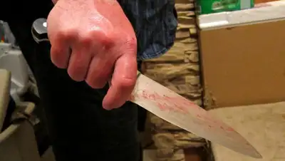 lv-news.ru, фото - Новости Zakon.kz от 01.12.2019 22:03