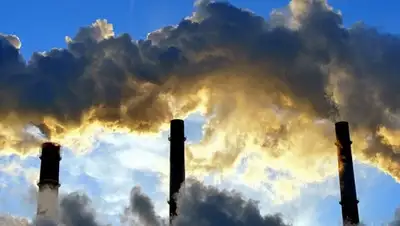 Zakon.kz, фото - Новости Zakon.kz от 12.10.2015 19:39