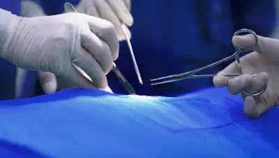 onkourologi.ru, фото - Новости Zakon.kz от 05.06.2020 13:49