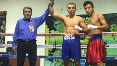 Профи бокс Казахстана, фото - Новости Zakon.kz от 03.12.2017 18:01