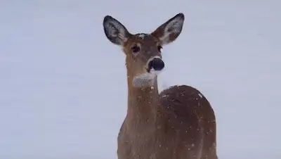 pxhere.com, фото - Новости Zakon.kz от 09.01.2020 07:17