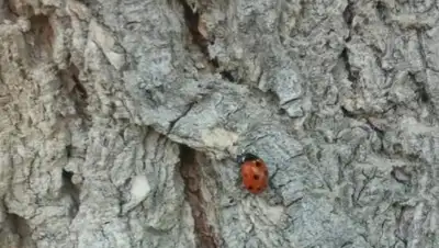 Zakon.kz, фото - Новости Zakon.kz от 08.06.2015 23:24