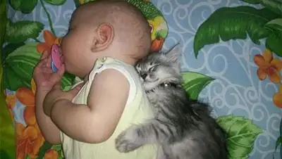 Zakon.kz, фото - Новости Zakon.kz от 23.10.2014 17:43