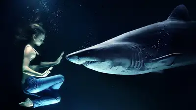 Женщина чудом выжила после нападения акулы в Австралии, фото - Новости Zakon.kz от 30.01.2024 13:58