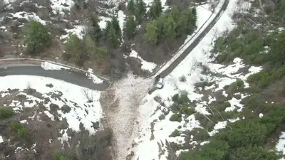 В акимате Алматинской области прокомментировали ситуацию со сходом лавины, фото - Новости Zakon.kz от 12.03.2023 21:13