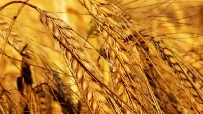 Zakon.kz, фото - Новости Zakon.kz от 04.01.2017 19:12