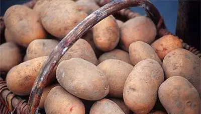 Zakon.kz, фото - Новости Zakon.kz от 14.02.2014 16:56