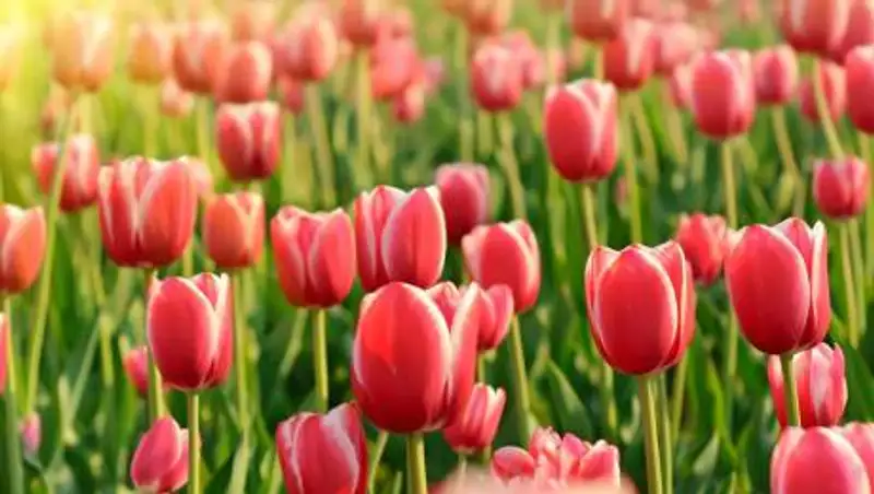 Какая погода ожидает казахстанцев 22 марта