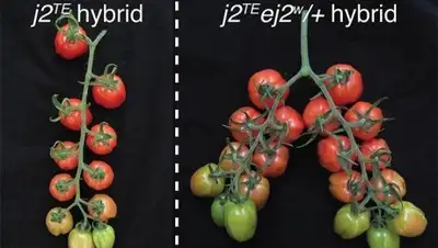 Zakon.kz, фото - Новости Zakon.kz от 19.05.2017 08:00