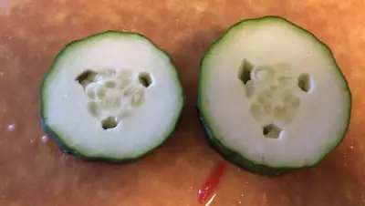 atmagro.ru, фото - Новости Zakon.kz от 10.03.2020 22:36