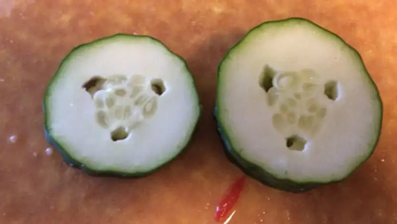 В Шымкенте обнаружили огурцы, привезенные из зараженного Ирана