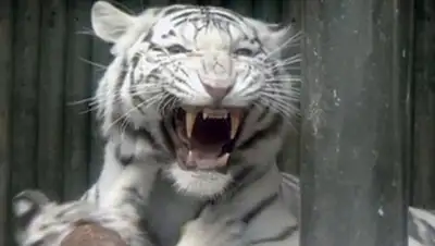 Zakon.kz, фото - Новости Zakon.kz от 17.06.2015 22:57