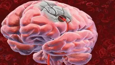 Zakon.kz, фото - Новости Zakon.kz от 05.12.2014 17:05