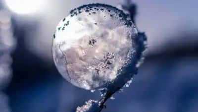 pixabay, фото - Новости Zakon.kz от 13.12.2019 09:08