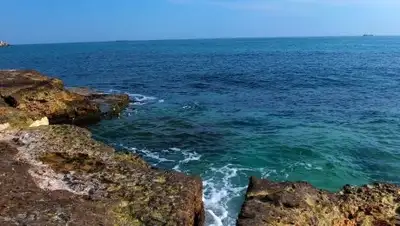 silkadv.com, фото - Новости Zakon.kz от 09.08.2018 14:09