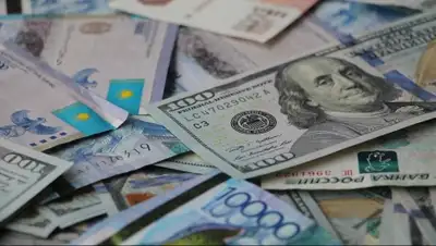 Zakon.kz, фото - Новости Zakon.kz от 24.02.2016 17:20