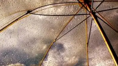 Zakon.kz, фото - Новости Zakon.kz от 13.08.2015 13:15