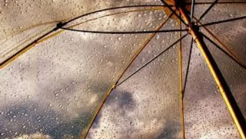 Дожди и ветер ожидаются в Казахстане в четверг