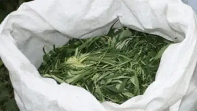 Zakon.kz, фото - Новости Zakon.kz от 19.10.2015 23:13