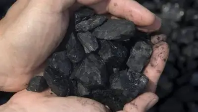 Zakon.kz, фото - Новости Zakon.kz от 07.12.2016 21:05