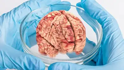 Depositphotos / decade3d, Depositphotos / OlenaPavlovich, фото - Новости Zakon.kz от 22.01.2019 11:33