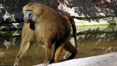 Zakon.kz, фото - Новости Zakon.kz от 12.01.2017 21:26