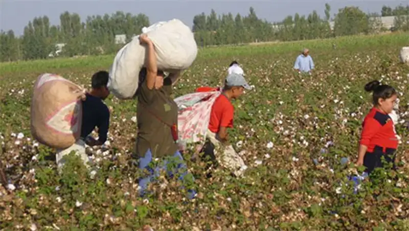 Более 60 фактов использования детского труда зафиксировано в ЮКО