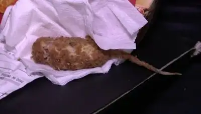 Zakon.kz, фото - Новости Zakon.kz от 23.09.2016 12:50