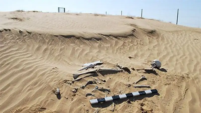 На контрактной территории ТШО обнаружены человеческие кости