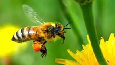 Zakon.kz, фото - Новости Zakon.kz от 02.07.2015 15:59