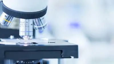 Zakon.kz, фото - Новости Zakon.kz от 14.09.2017 08:54