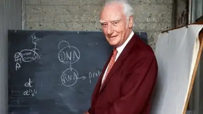 Zakon.kz, фото - Новости Zakon.kz от 25.11.2014 22:56