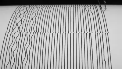 The Open University, фото - Новости Zakon.kz от 20.08.2020 22:41